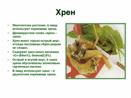 Хрен тексты песен