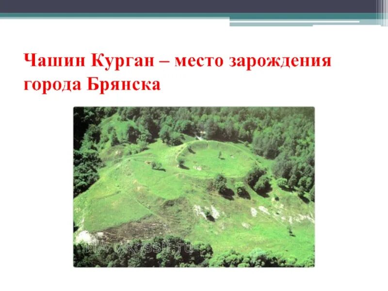 Чашин курган брянск крепость. Чашин курган брянск с высоты птичьего полета. Городище чашин курган брянск. Городище чашин курган брянск. Брянска проект чашин курган.