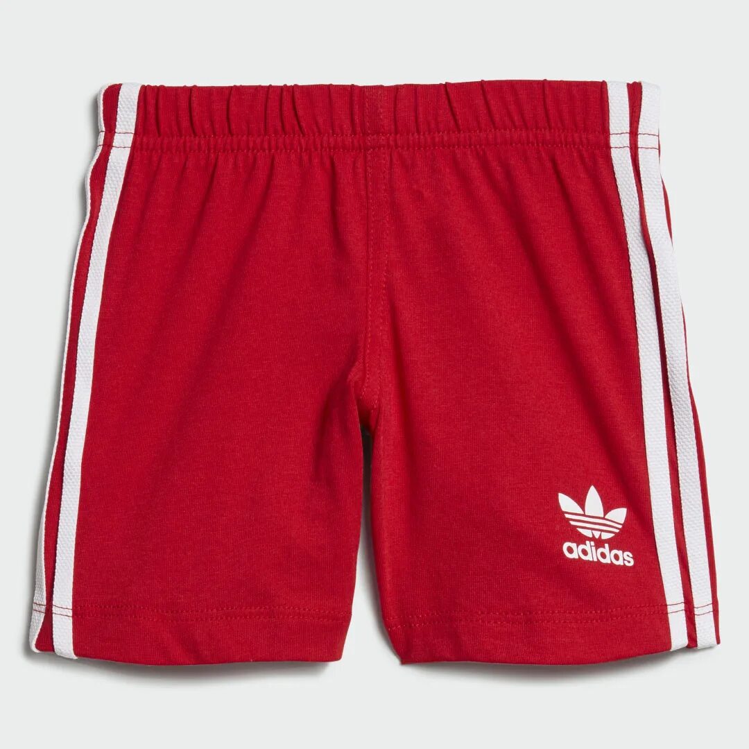 Шорты adidas Originals Trefoil shorts. Шорты adidas Originals красные 9380. Шорты адидас ориджинал. Короткие футбольные шорты адидас ориджинал. Купить шорты оригинал