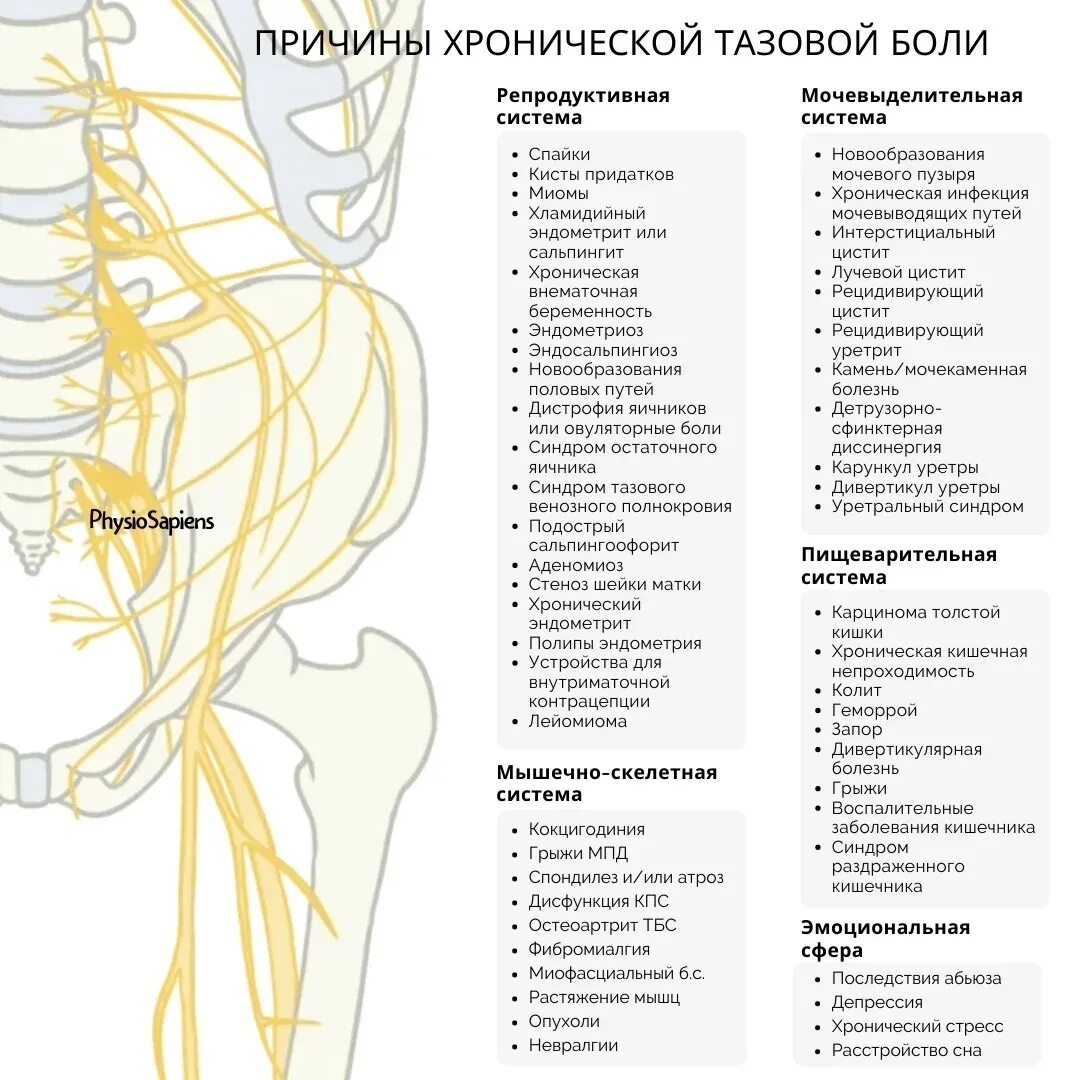 Хроническая тазовая боль радзинский. Тазовая боль москва. Синдром тазовой боли у женщин. Тазовая боль москва. Хроническая тазовая боль.