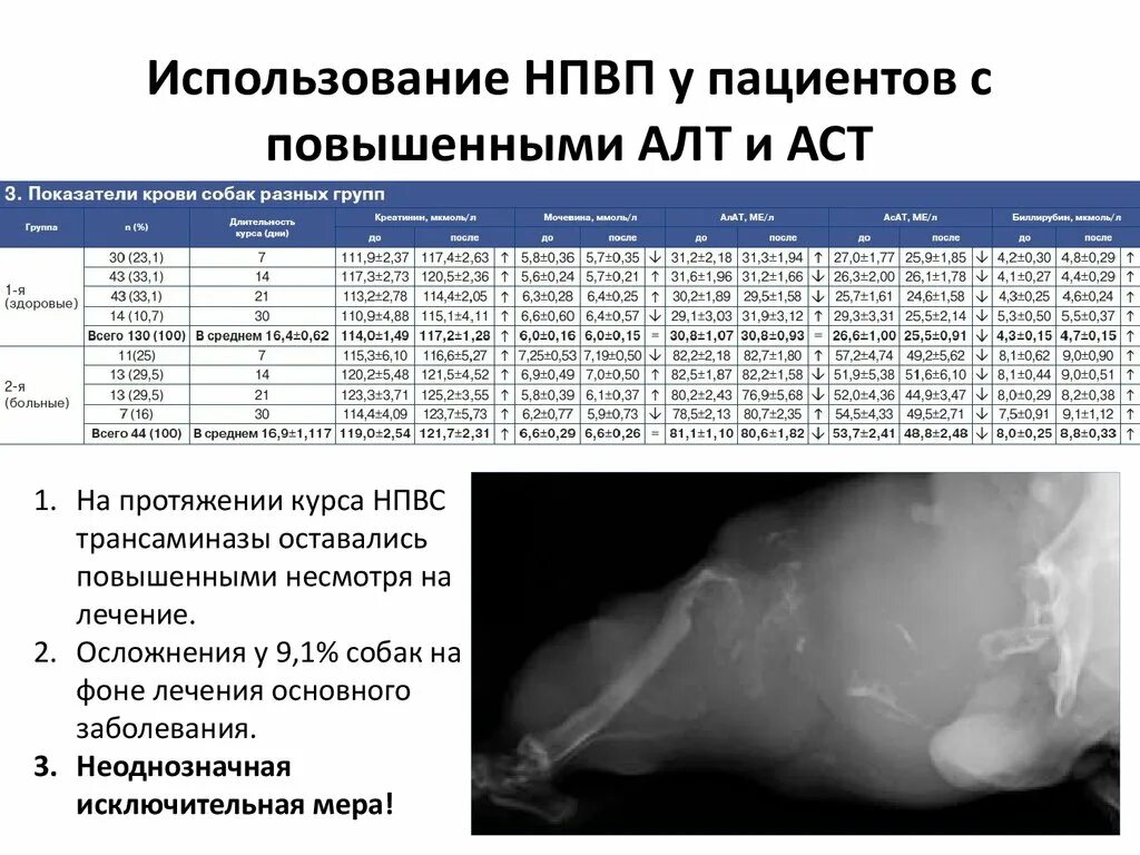 Аст алт повышена у собак