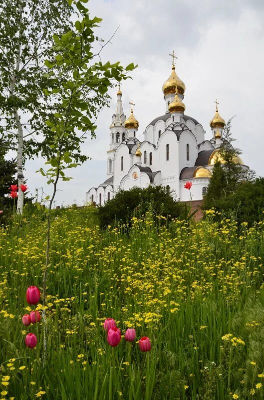 Свято иверский монастырь ростова. Иверский женский монастырь (Ростов-на-Дону). Иверский монастырь Ростов. Храм Иверский Ростов на Дону. Свято-Троицкий храм Иверского монастыря.