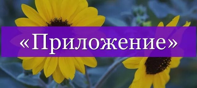 Приложение со словом не. Слова приложения. прикоснуться проверочное слово. слово приложение картинка. прикосновение проверочное слово.