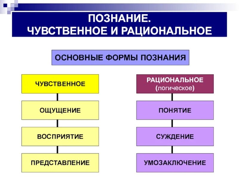 Наблюдение ощущение суждение выдвижение