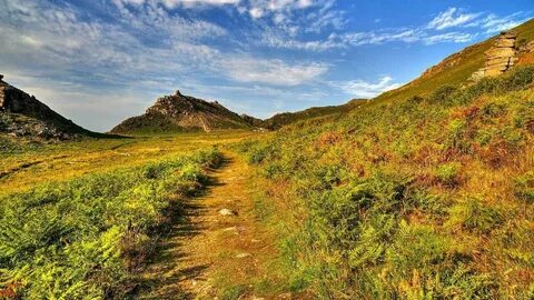 Mount path