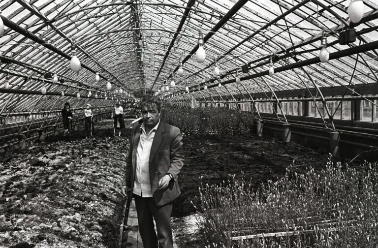 Совхоз 1 мая. Совхоз тепличный воркута. совхоз марфино. совхоз 1 мая теплицы. парники совхоза марфино.