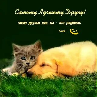 Фото любимому другу