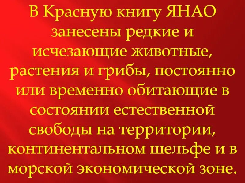 Песни занеси меня в красную книгу. Красная книга Ямала. Красная книга Ямала презентация. Красная книга ЯНАО. Животные Ямала занесенные в красную книгу.