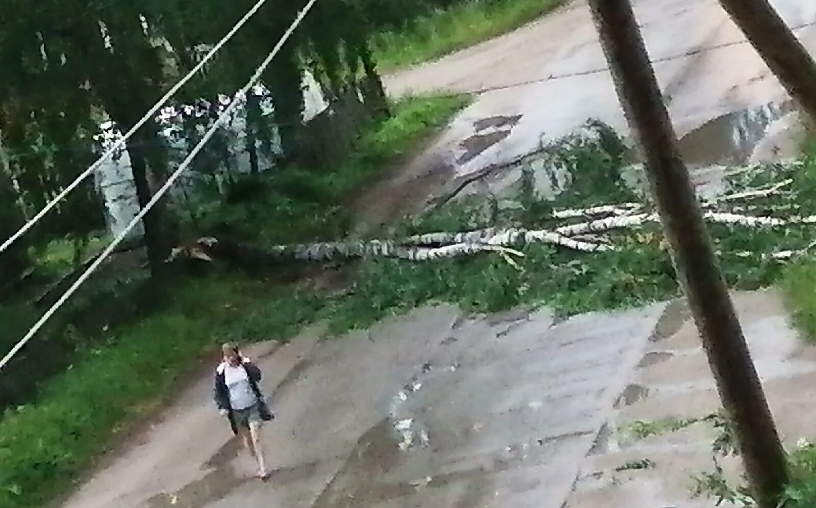 Hurricane 16 запись стримов. Ураган в Башкирии вчера. Ураган на севере Швейцарии. Туристов в палатках убили повалившиеся деревья.