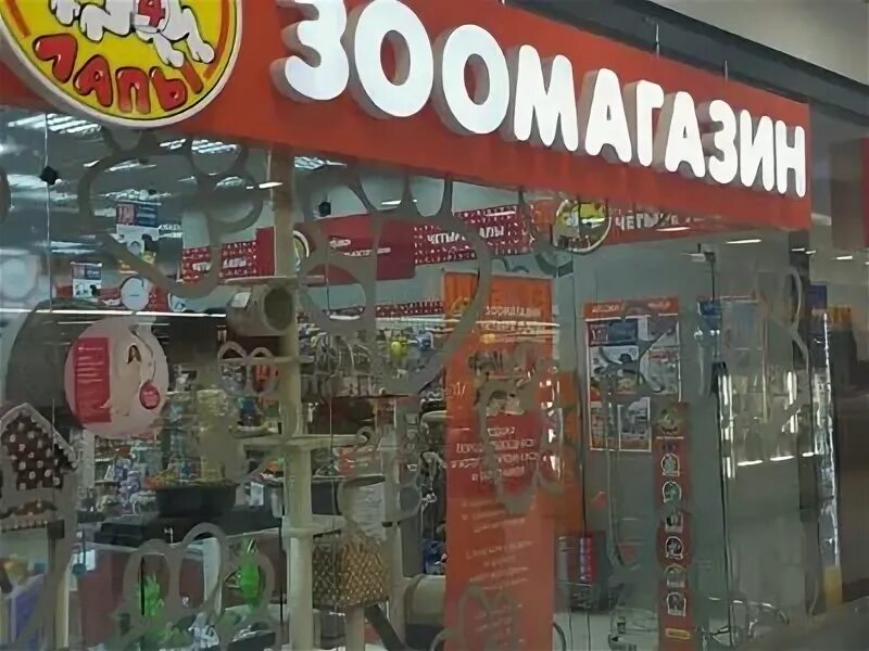 Четыре лапы зоомагазин липецк. Магазин четыре лапы краснодар. Четыре лапы вывеска. Четыре лапы воронеж. Магазин четыре лапы краснодар.