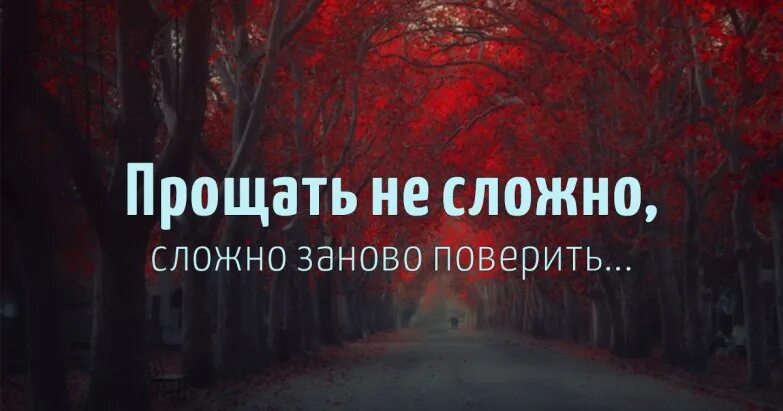 Песня не хочу я доверять снова. Простить не трудно сложно заново поверить. Сложно заново поверить. Простить легко сложно заново поверить. Простить не сложно сложно заново.