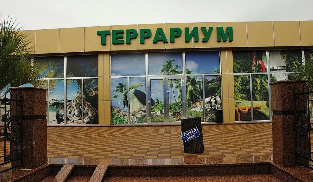 Террариум сочи