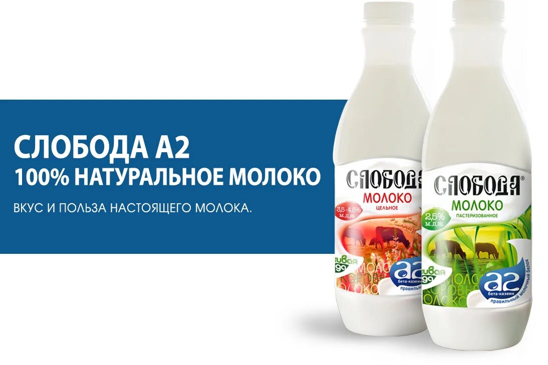 молоко а1 и а2. молоко а2 производители. молоко смарт. молоко а1 и а2 разница. молоко 1%.