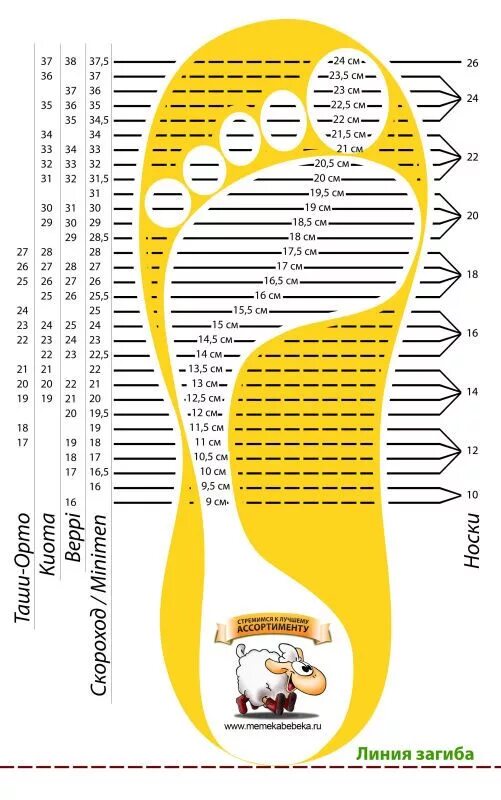 Длина стелек детского размера. Размер стельки. Линейка размеров ноги. Стопомер детский. Стелька шаблон.