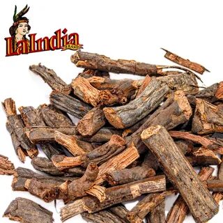 Sarsaparilla