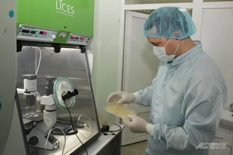 Био кожа