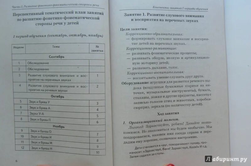 Планирование фронтальных занятий. Гомзяк конспекты фронтальных занятий. гомзяк конспекты занятий 5-6 лет. гомзяк говорим правильно в 5-6 лет конспекты. гомзяк 6-7 конспекты фронтальных занятий.