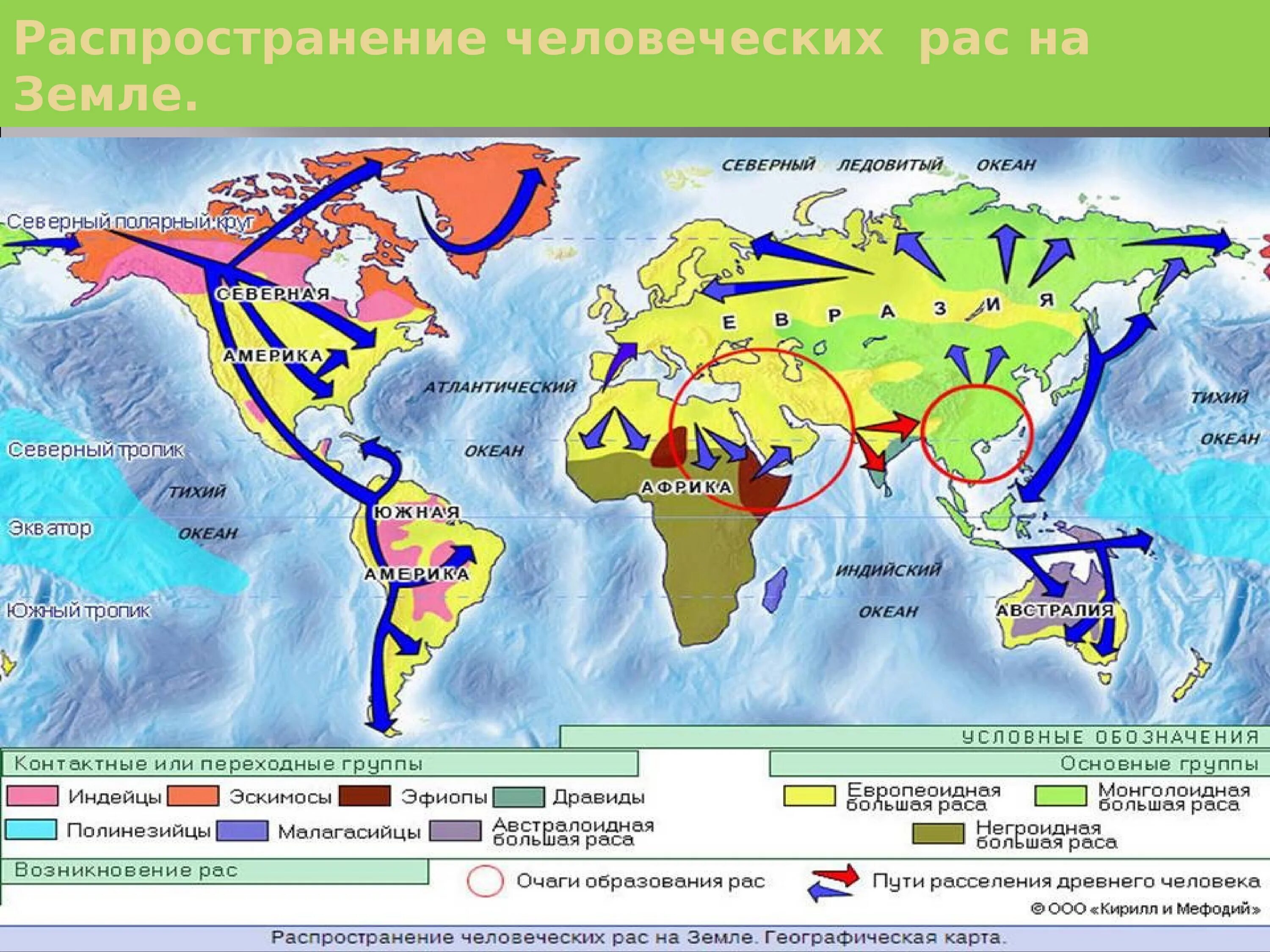 Распространение людей на земле сообщение. Карта распространения человеческих рас. Распространение человеческих рас по земле. Расы на земле. Расселение людей по земному шару.