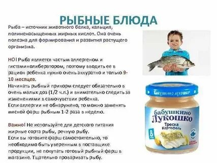 Когда можно рыбу в прикорм