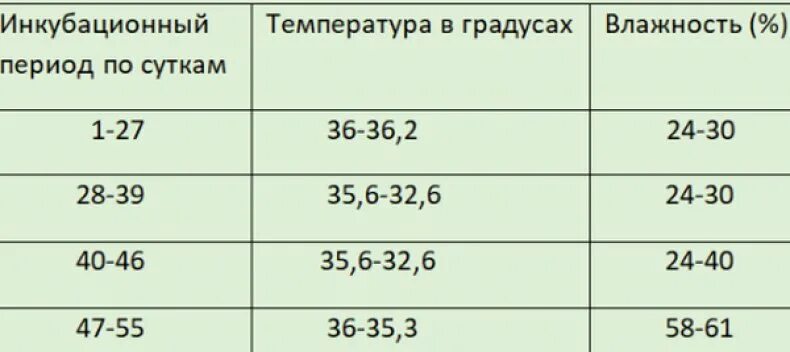 Режим инкубации перепелов. Температура инкубации страусиных яиц. Режим инкубации страусиных яиц. Режим инкубации страусиных яиц таблица. График инкубации перепелиных яиц.