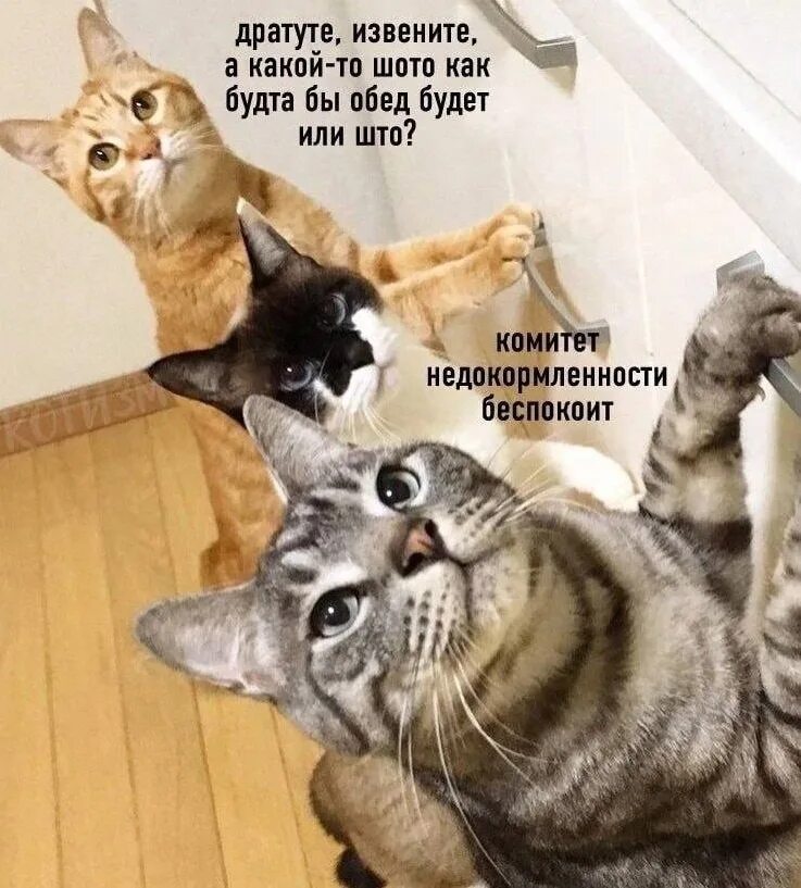 Есть что нибудь типа