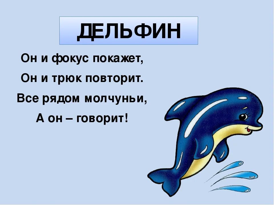 Звук в слове дельфины. Стихи про дельфинов для детей. Загадка про дельфина. Загадки про дельфинов. Загадка о дельфине.