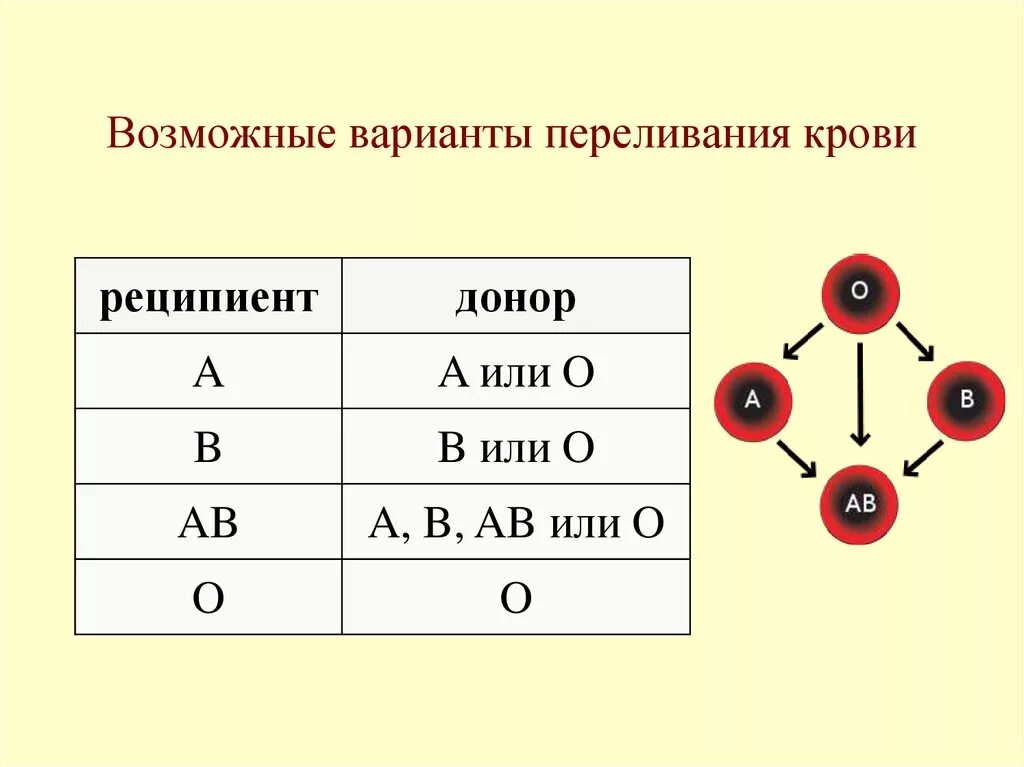 Возможные варианты как можно. Схема правил переливания крови. Переливание крови схема донор реципиент. Группы крови схема крови. Схема допустимого переливания крови.