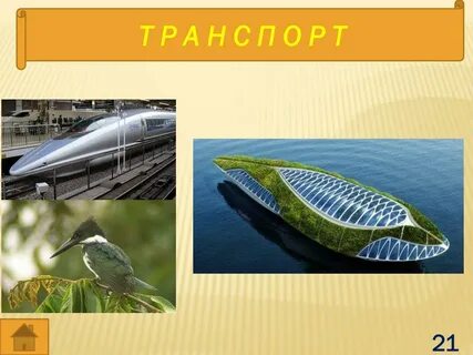Бионика 2