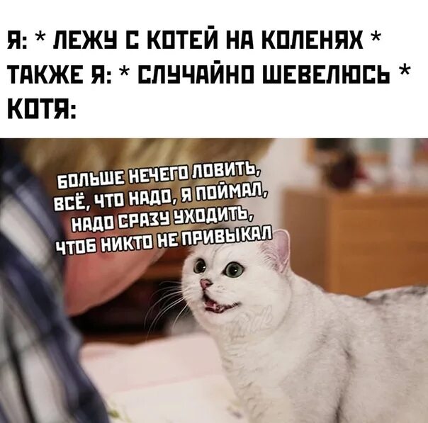 Песня надо сразу уходить чтоб никто не. Надо сразу уходить. надо сразу уходить чтоб никто не привыкал. больше котя. больше нечего ловить, всë что надо я поймал.