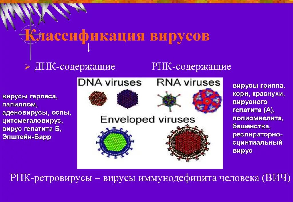 РНК содержащие вирусы. Классификация вирусов гепатита. Вирус гриппа РНК содержащий. ДНК содержащие вирусы.