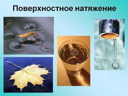 Сила физическое явление