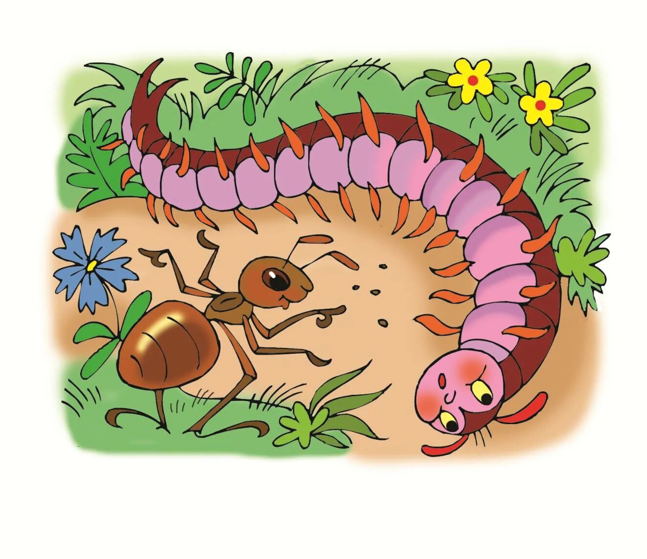 Жук многоножка. Губоногие многоножки. Желтая гусеница многоножка. Костянка обыкновенная многоножка. Гусеница - сороконожка.