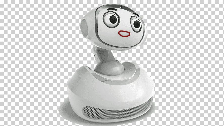 Robot entertainment