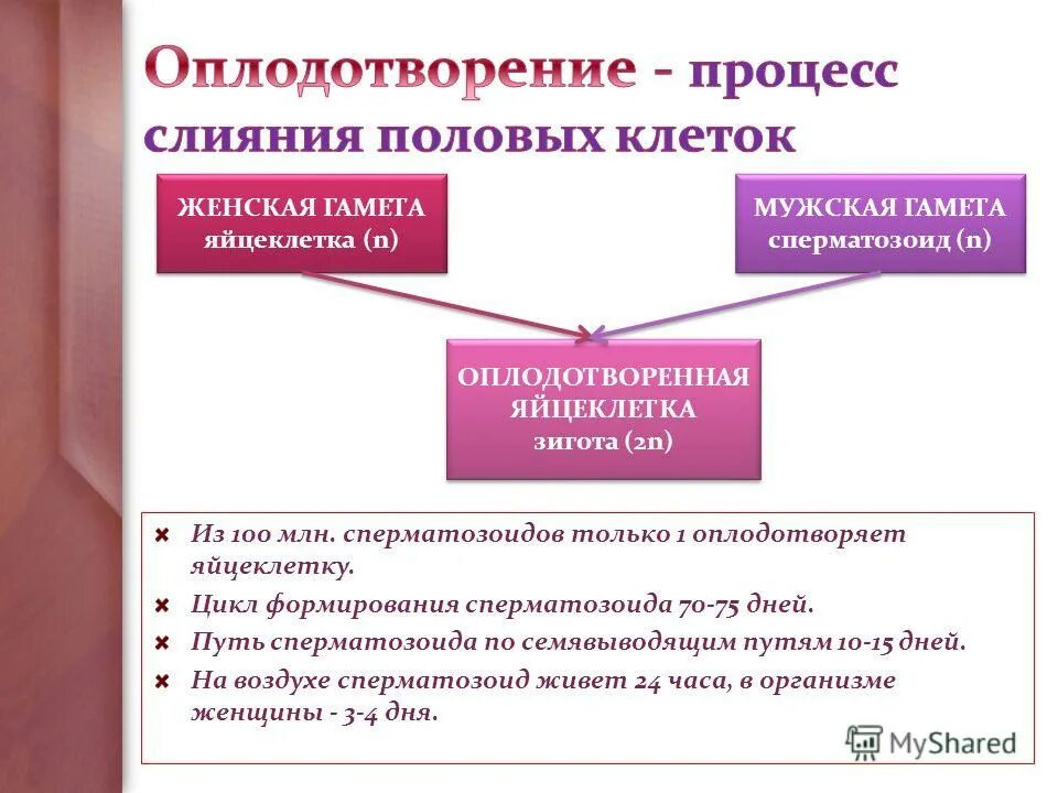 Женская половая система источники развития. Размеры половых губ женщин. Главные особенности природы земли 7 класс. Размеры половых губ женщин. Размеры половых губ женщин.