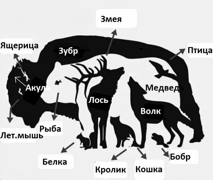 Изображать насколько