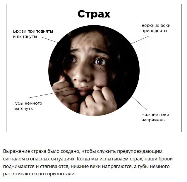 Почему он боится чувств. Страх эмоция. Страхи человека психология. Эмоция страха в психологии. Признаки эмоции страха.