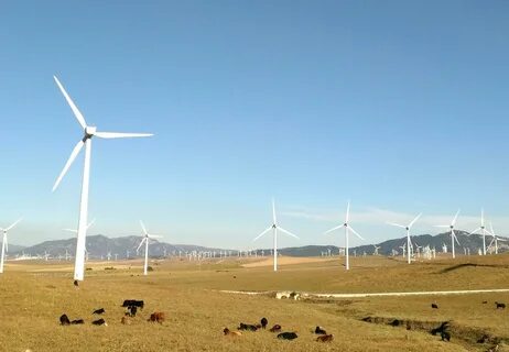 Your wind
