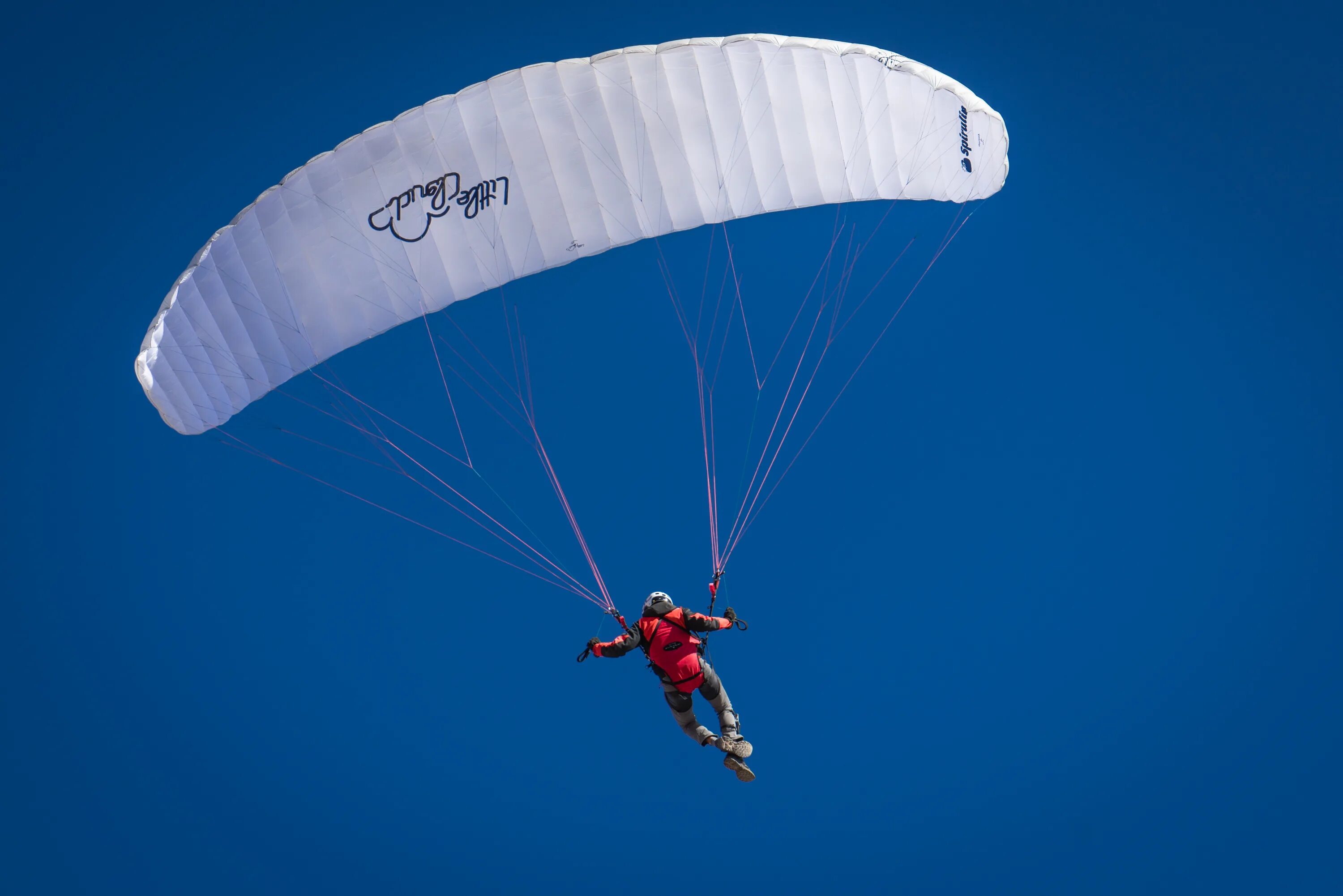 Парашют. Парашютист. Парашют крыло. Парашют типа крыло. Включи russia american parachutes