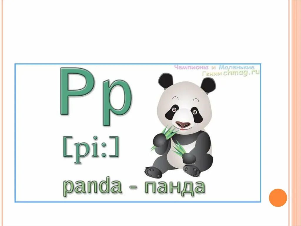 P p p po 0. Английская буква p. Слова на букву p на английском. Английская буква p в картинках. Английский алфавит буква p.
