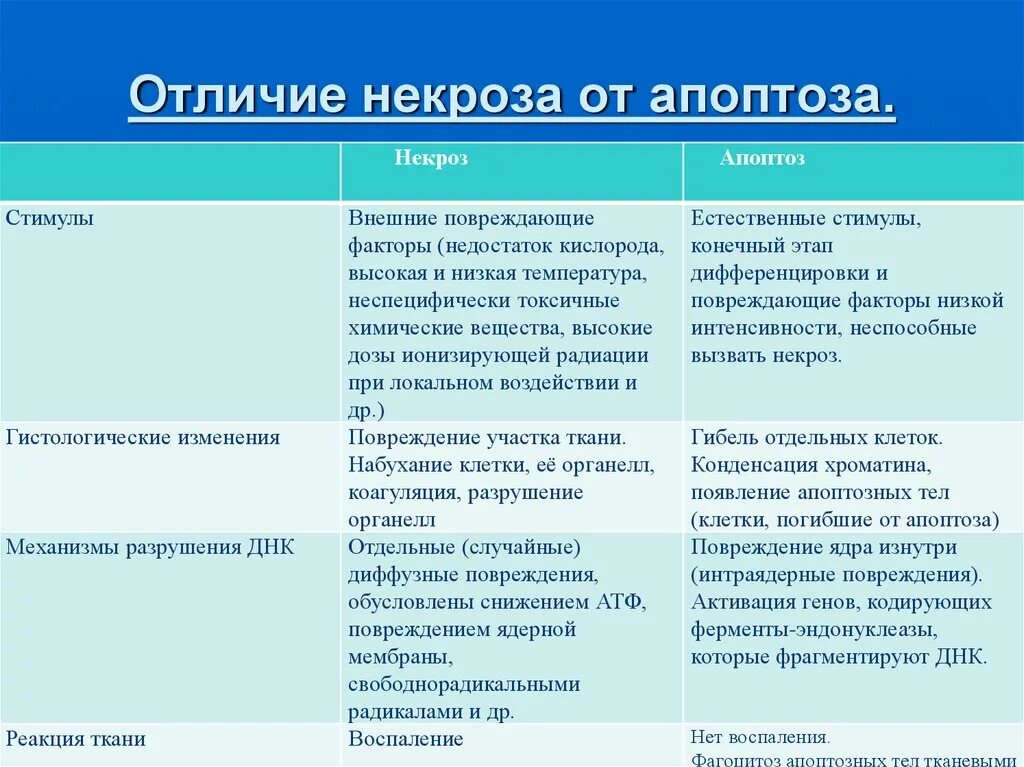 Некроз причины признаки. Апоптоз и некроз отличия таблица. Отличие некроза от апоптоза. Целесообразность некроза и апоптоза. Отличия некроза от апоптоза патанатомия.