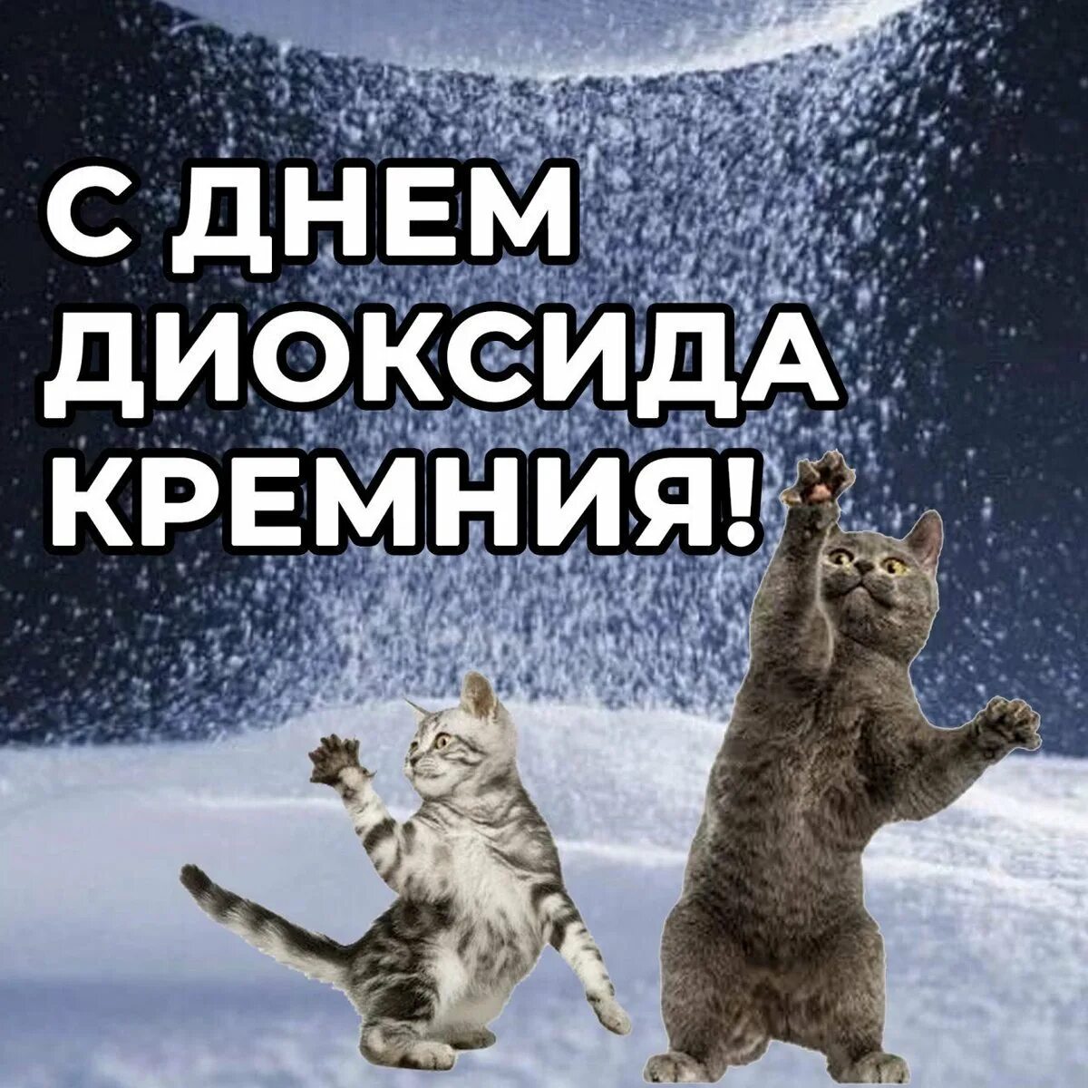 Прикольные праздники картинки. Праздники на каждый день мемы. Дурацкие открытки с днем. Поздравления со странными праздниками. С днем мемы.