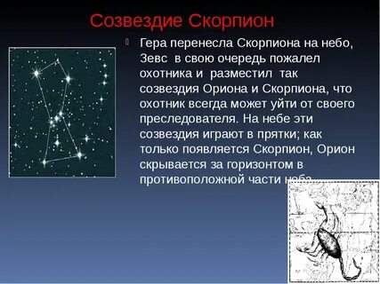 Какое созвездие родилась