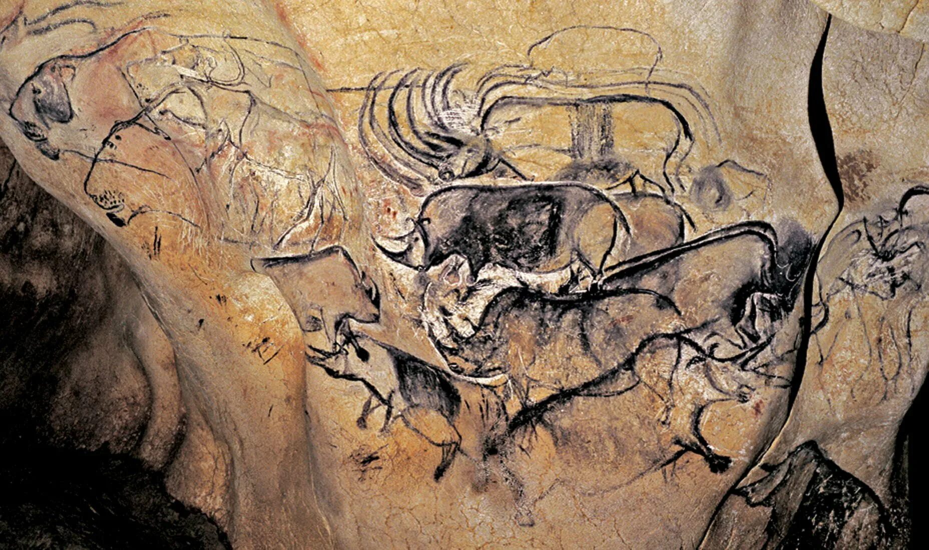 Первобытная рука. Пещера Шове Наскальная живопись. Пещера Шове тарпаны. Пещера Шове наскальные рисунки. Пещера Шове мамонт.