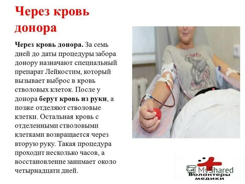 донорство сколько берут