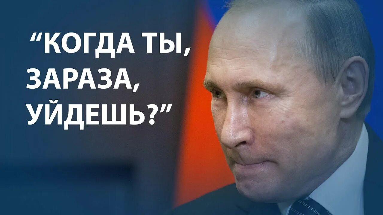 Зараза мем. Зараза картинки. Коты и сияние. Пожалей меня. Вот ты зараза.