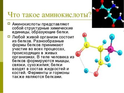 Какие группы входят в состав аминокислот