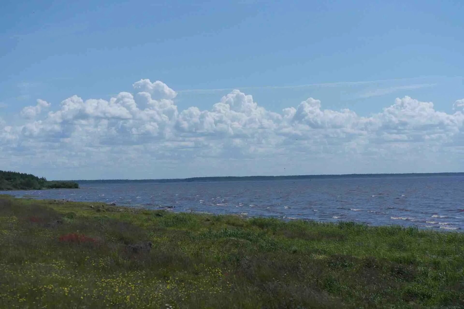 Легково рыбинское. Остров Раменье Рыбинское водохранилище. Рыбинское водохранилище Ярославль. Остров Центральный Рыбинское водохранилище. Новинский залив Рыбинского водохранилища.