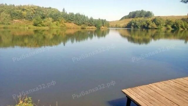 Пруд орел рыбалка. Пруд орел рыбалка. Силикатный пруд орел. Пруд орел рыбалка. Синявский пруд пензенская область.
