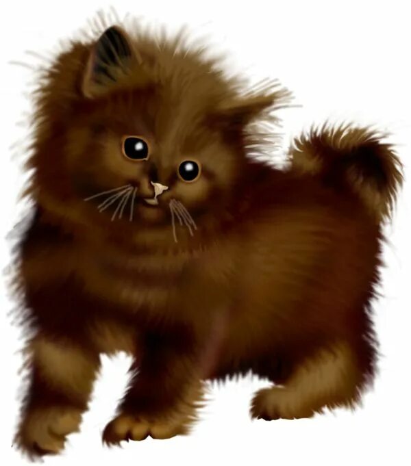 Chat tube. Коричневый котенок. Котенок коричневый для детей. Коричневый котенок рисунок. Нарисованный коричневый котенок котенок.