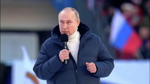 Выступления владимира